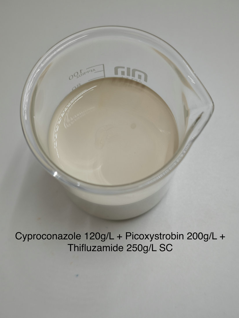 Cyproconazole 120g/L + Picoxystrobin 200g/L + Thifluzamide 250g/L SC